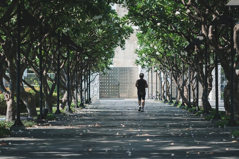Exercise Plans